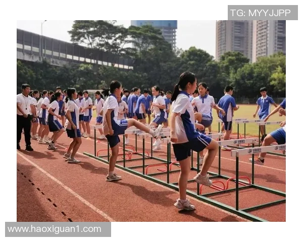 深圳排球队的比赛经验分享与成长之路探索